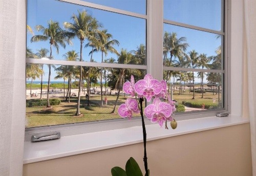 Avalon Hotel image 22