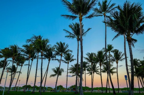 Avalon Hotel image 28